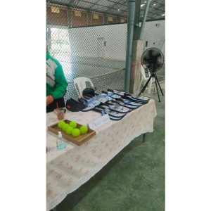 ลูก Pickleball Vega
