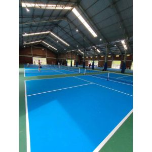 เน็ต Pickleball